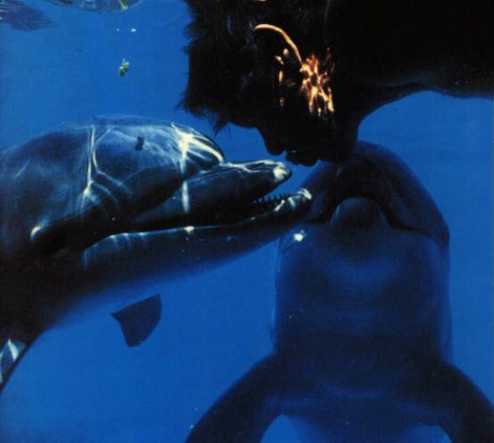 HomoDelphinus.jpg