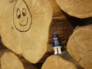 3 - Découvrez les pédagogies du Québec